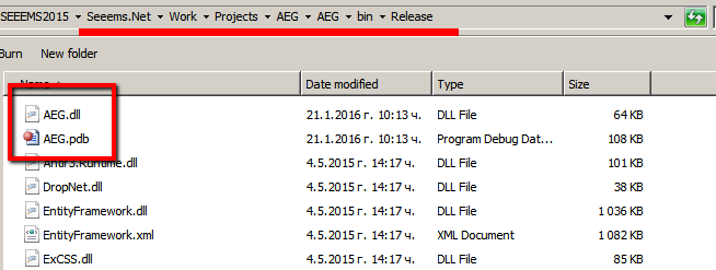 7-custom-files-in-bin-release-folder